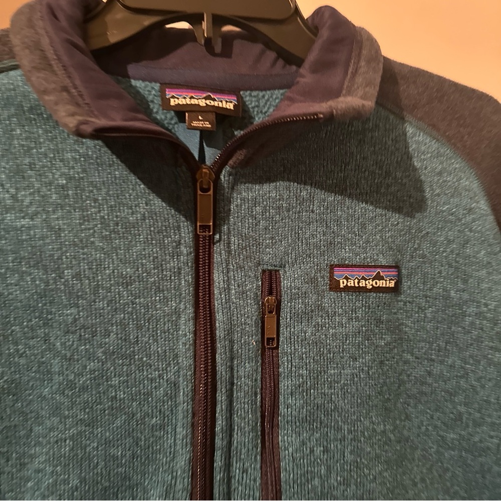 Patagonia pull over men better sweater